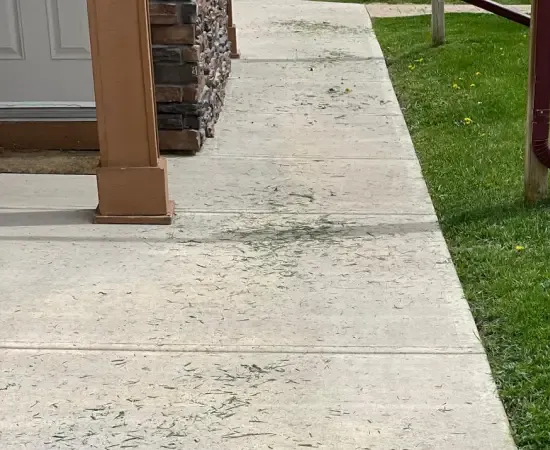 Grass clippings scattered across the concrete entry walkway and lawn edge of a property after a mowing crew passed through. The kind of cleanup miss a landscape account manager would photograph on a site walk and assign back to the crew through SiteDNA before the customer ever sends an email.